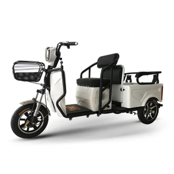 divas sēdekļa dual personām, iepirkšanās velosipēdu mobilitātes vecākiem Palīdz ceļot Elektriskie Motocikli ar trīs riteņiem scooter ar lielu pārvadājumi
