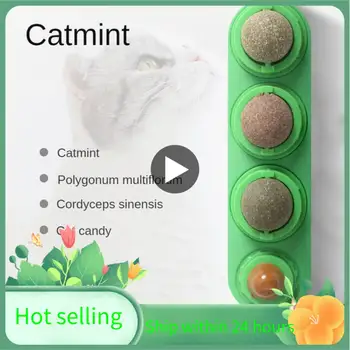Pet Catnip Rotaļlietas, Pārtikas Catnip Bumbu Drošības Veselīgas Kaķu Mētru Kaķi Mājās Pakaļdzīšanās Spēli, Rotaļu Produktus, Tīrīt Zobus Kuņģa Catmint