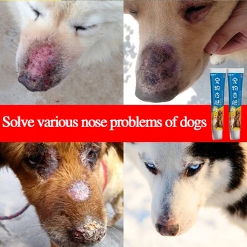 Pet suns, kaķis deguna īpašas kopšanas krēms ādas antibakteriālo krēmu, Matu izkrišana, scab un čūlas, atrisināt dažādas ādas problēmas