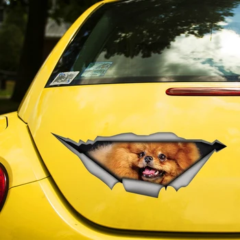 Pomerānijas Suns Smieklīgi 3D pašlīmējošas Decal Auto Uzlīme Ūdensizturīgs Auto Dekori uz Bufera Aizmugures Logu Klēpjdatoru Izvēlēties Izmēru #S60484